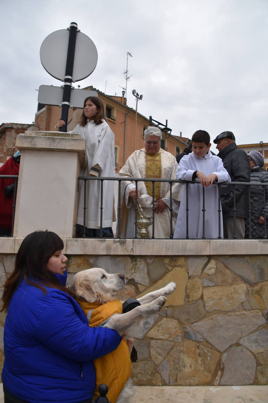 La bendición de San Antón, en imágenes