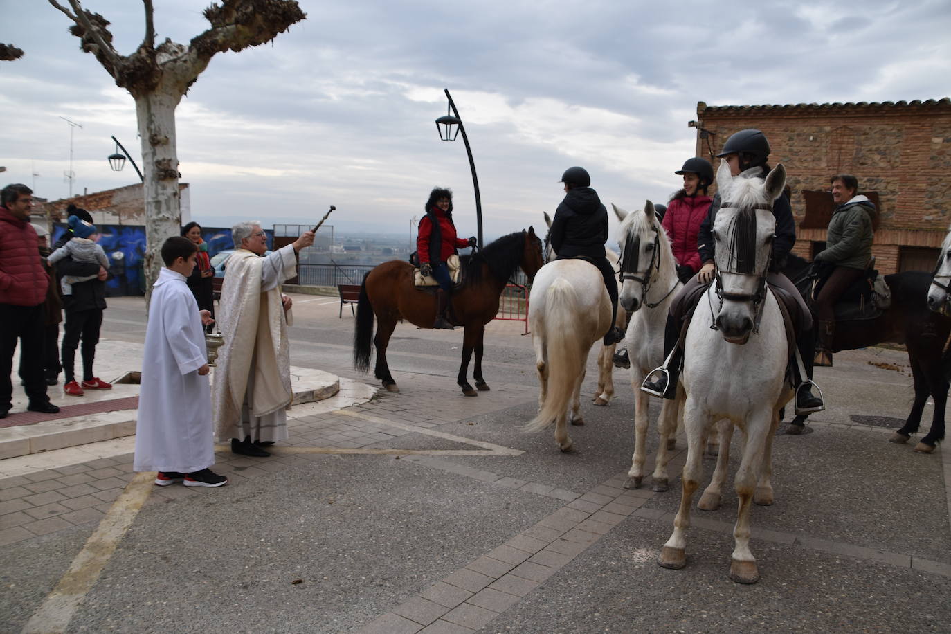 La bendición de San Antón, en imágenes