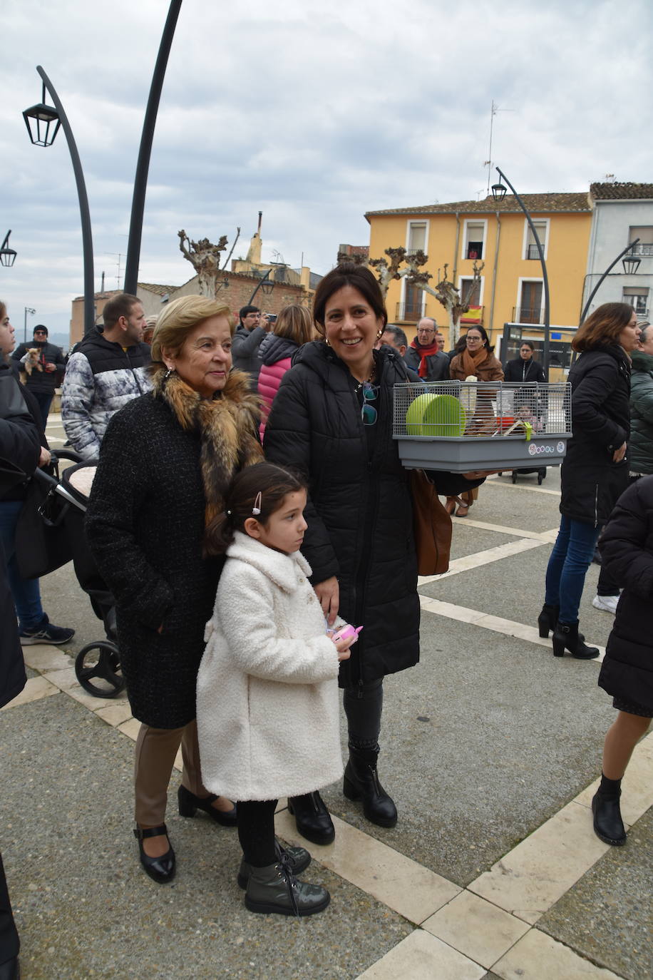 La bendición de San Antón, en imágenes
