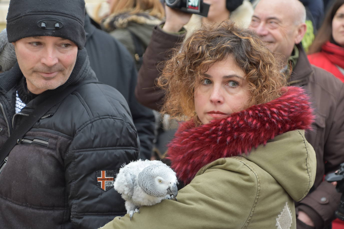 La bendición de San Antón, en imágenes