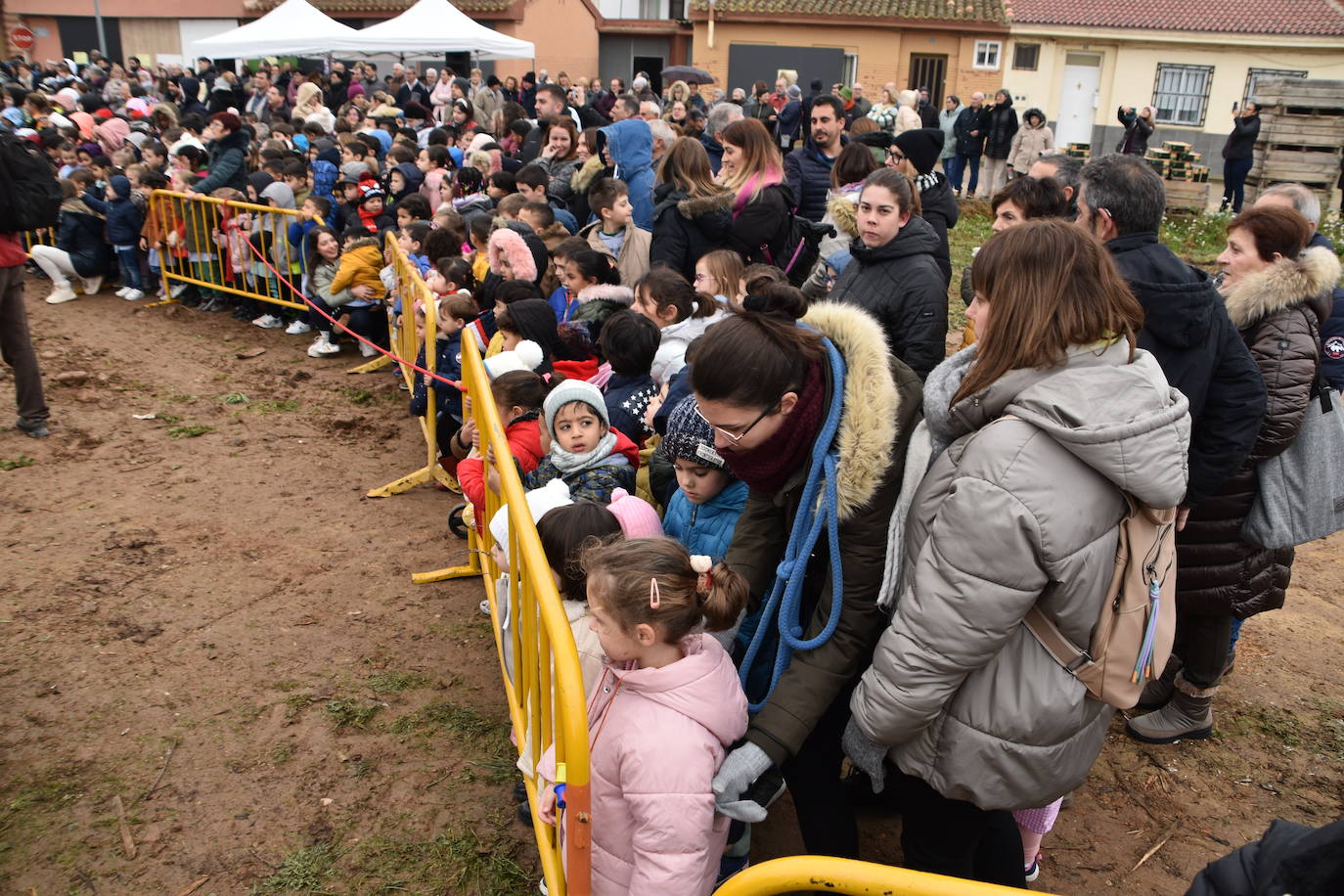 La hoguera de San Antón