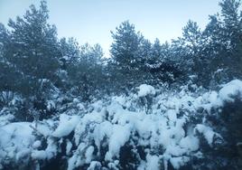 Nieve en Viniegra de Abajo.
