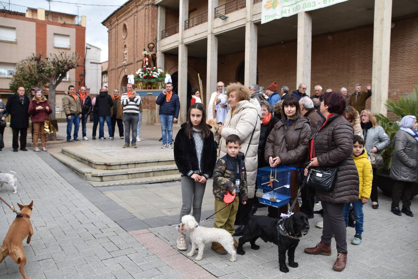 Bendición de animales por San Antón en Rincón de Soto