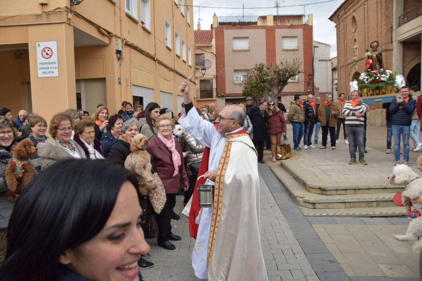 Bendición de animales por San Antón en Rincón de Soto