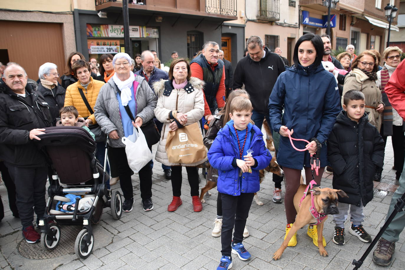 Bendición de animales por San Antón en Rincón de Soto