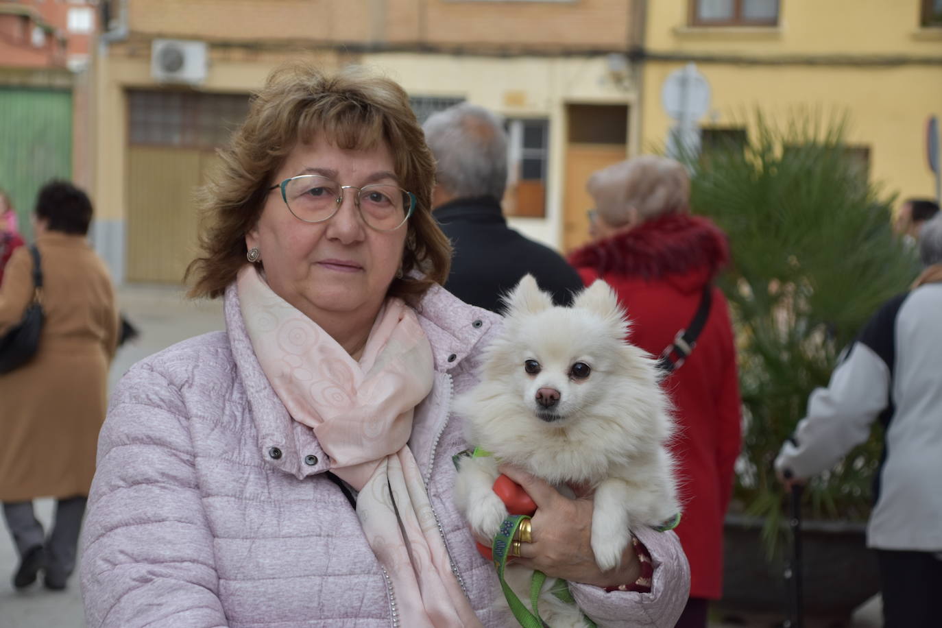 Bendición de animales por San Antón en Rincón de Soto