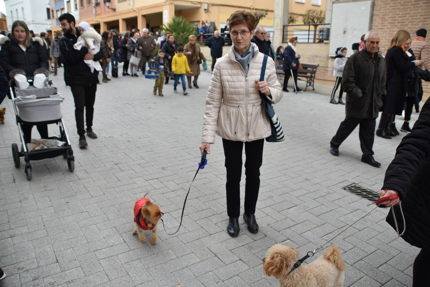 Bendición de animales por San Antón en Rincón de Soto