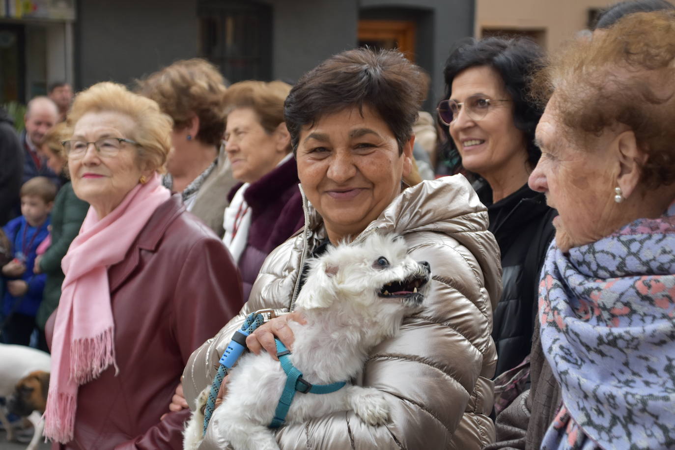 Bendición de animales por San Antón en Rincón de Soto