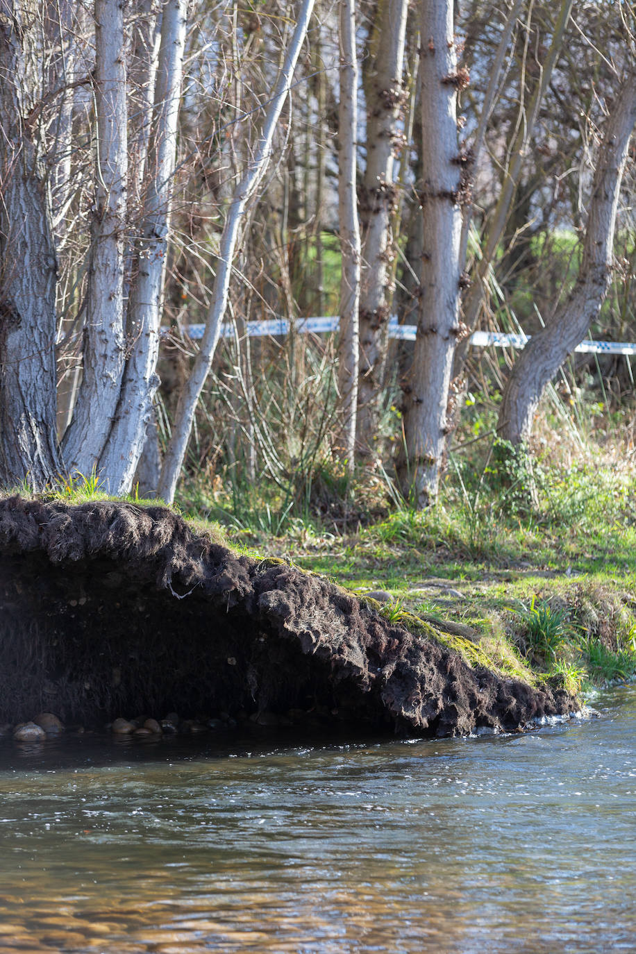 Imágenes del Río Iregua hace unos días