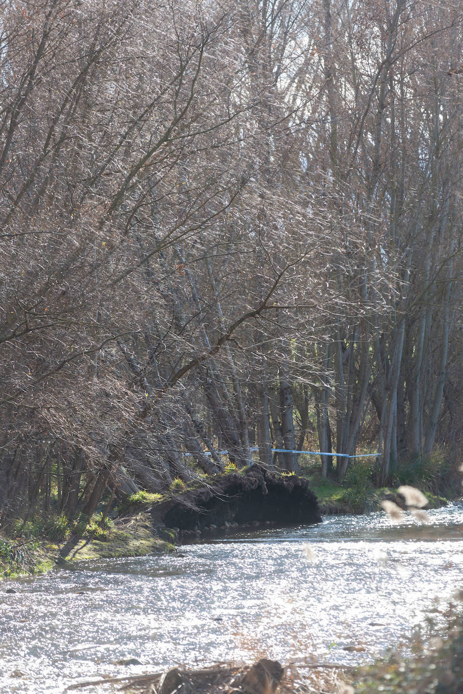 Imágenes del Río Iregua hace unos días