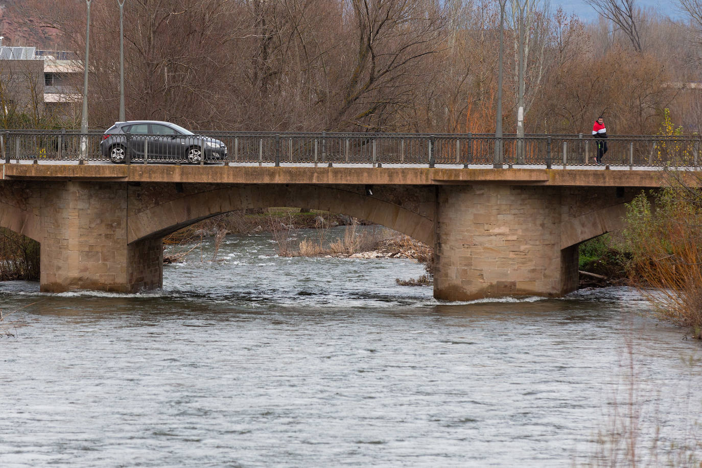 Ecologistas y pescadores alertan por la falta de agua en los ríos de La Rioja