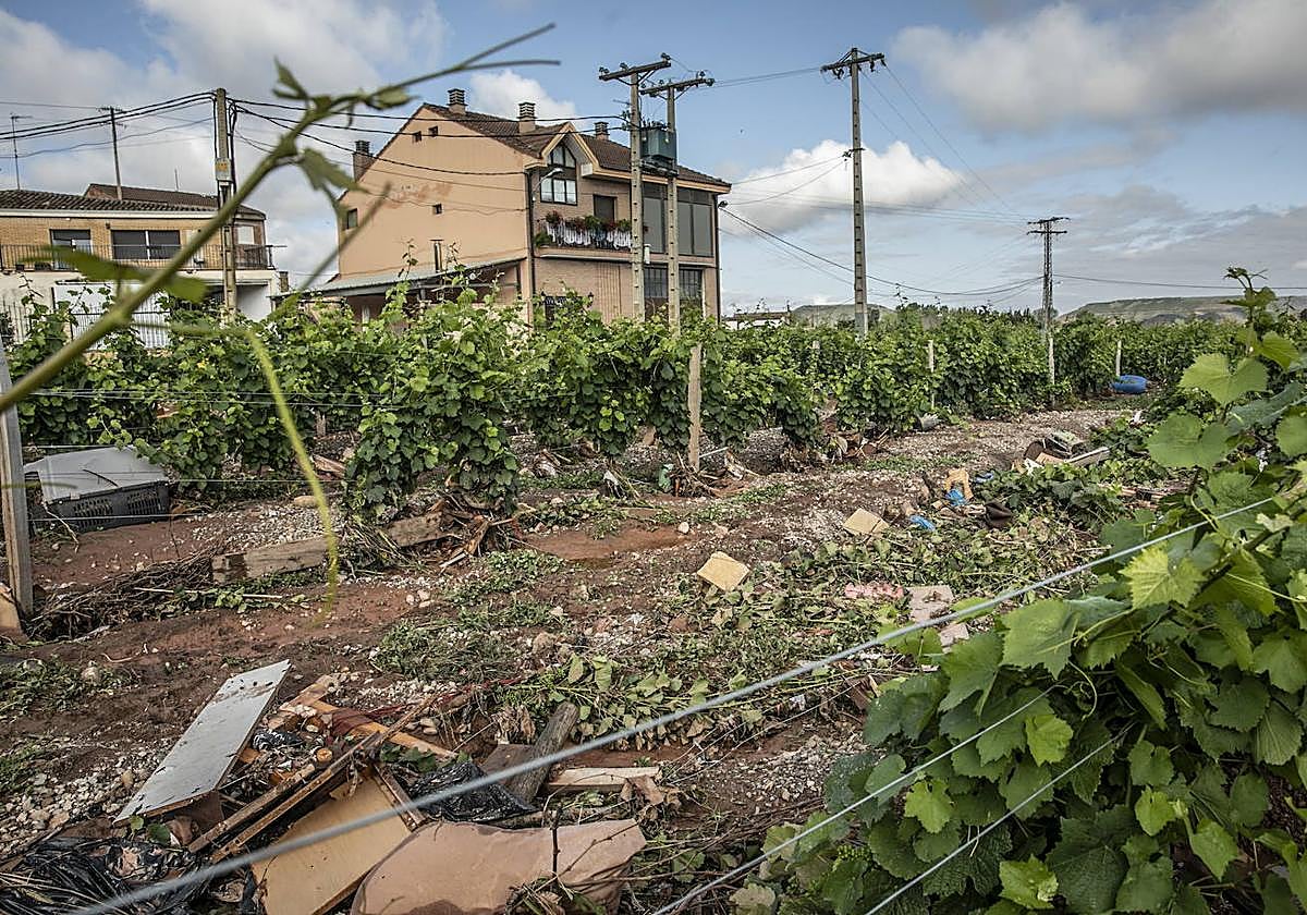 Daños provocados por las fuertes lluvias del pasado mes de junio en la zona de Huércanos