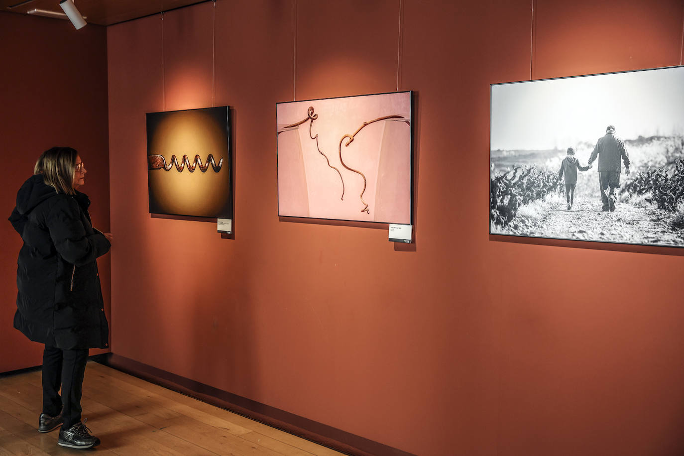 &#039;El Rioja y los 5 sentidos&#039;, los premiados