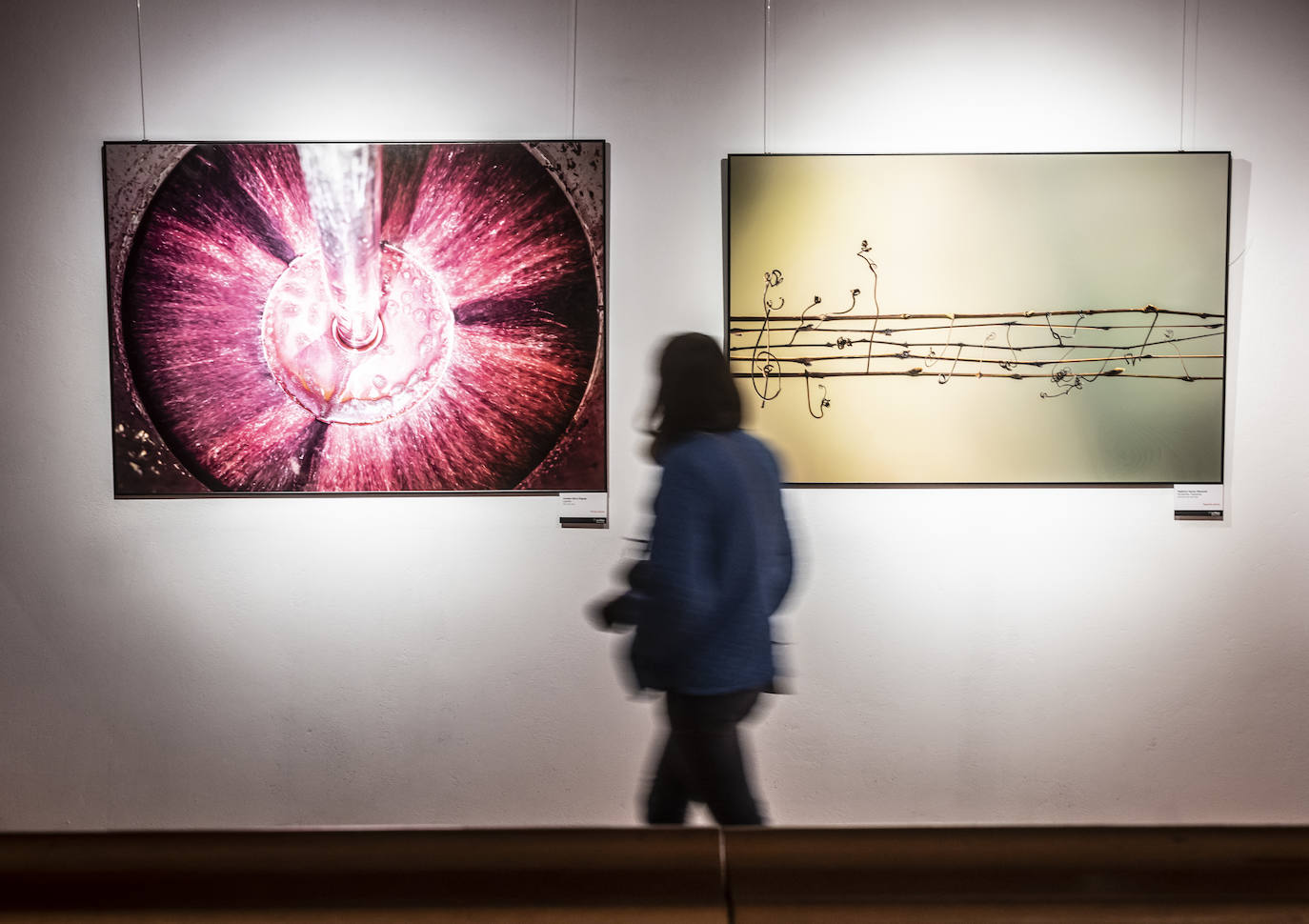 &#039;El Rioja y los 5 sentidos&#039;, los premiados