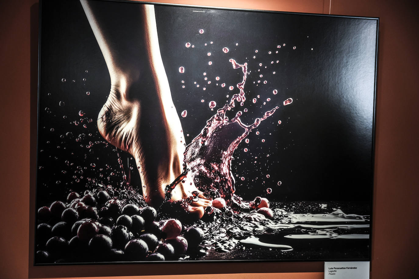 &#039;El Rioja y los 5 sentidos&#039;, los premiados