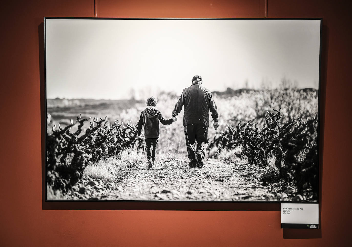 &#039;El Rioja y los 5 sentidos&#039;, los premiados