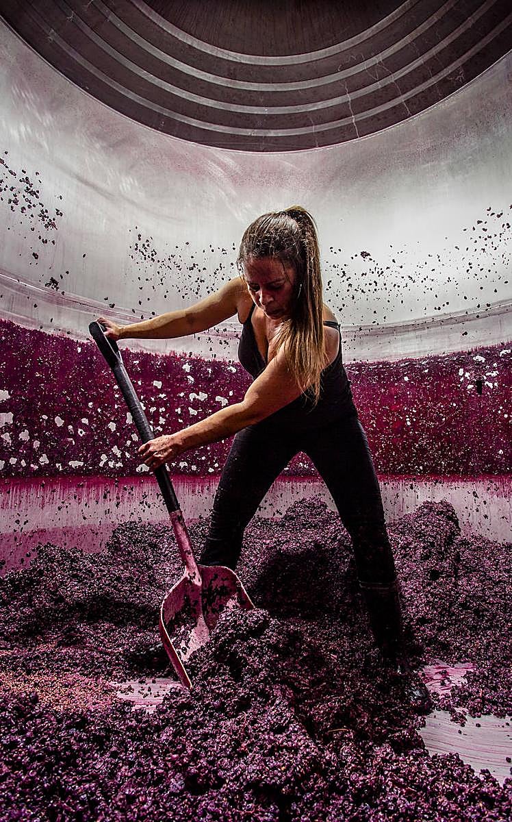 Tercer premio: 'El descube'