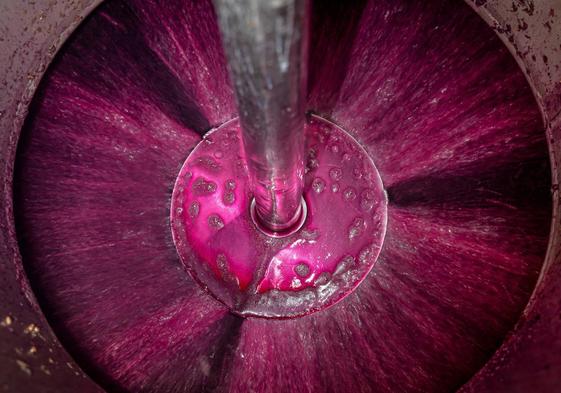 'Flor de vino', fotografía ganadora del concurso