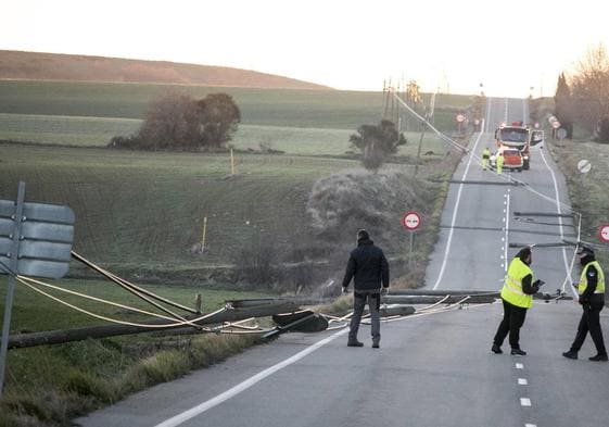 Imagen de los postes destrozados en la carretera entre Santo Domingo y Cirueña.