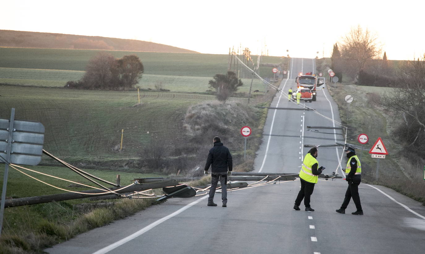 Imagen de los postes destrozados en la carretera entre Santo Domingo y Cirueña.