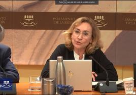 María Martín, al inicio esta tarde, de su comparecencia en el Parlamento de La Rioja.