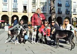 Breo Iglesias posa con Zico y Fox, Elena García con Tiger, Isabel López de Munain con Runa, Ana Fernández con Nilo y Mamen Burgos con Duque en Logroño.