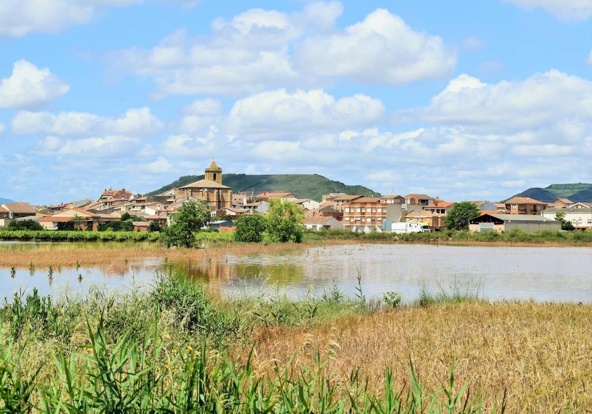 Inundación de los campos de cultivo que rodean Uruñuela y la carretera LR-113 en junio del año pasado.