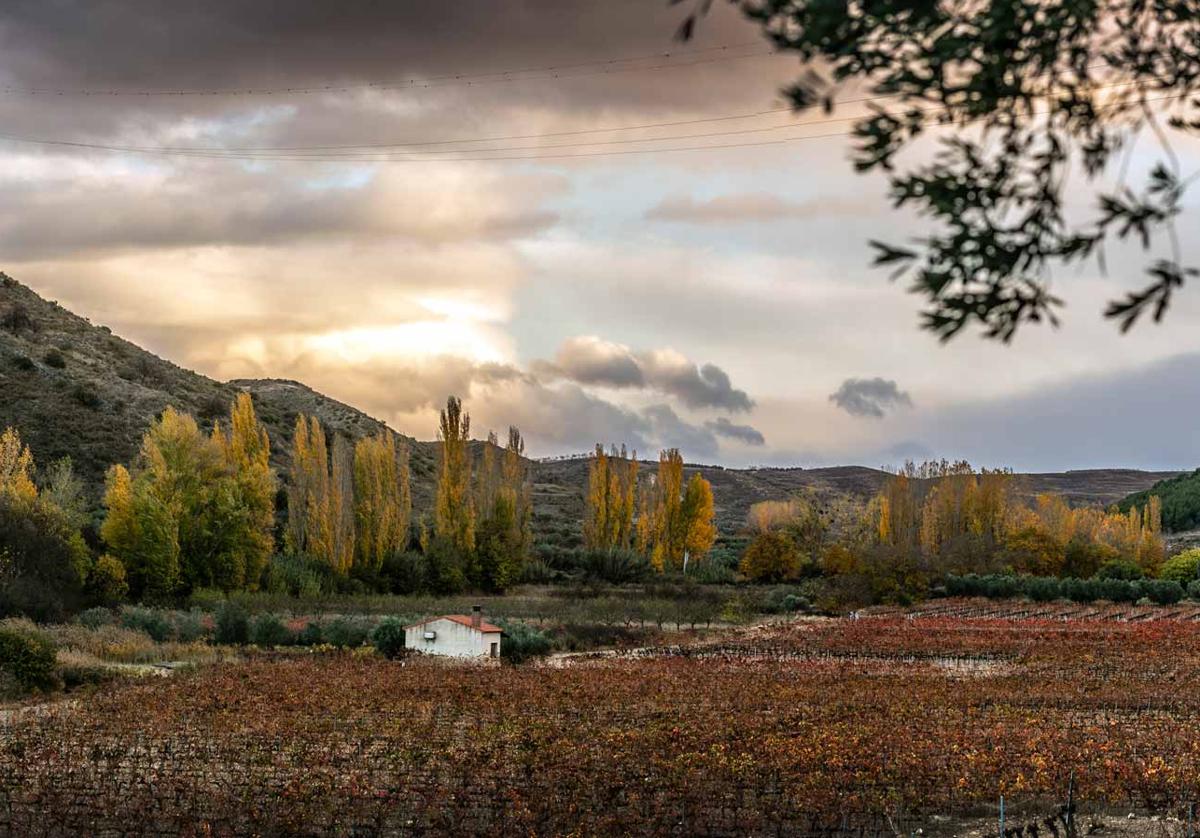 La muerte del campesino