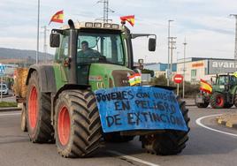 La protesta de Lentiscares, en imágenes