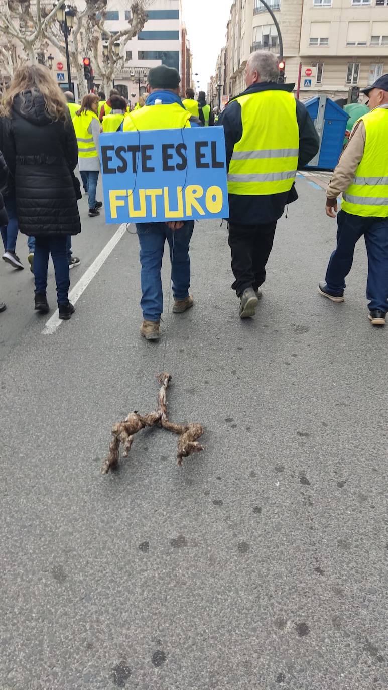 Las imágenes de la protesta en Logroño