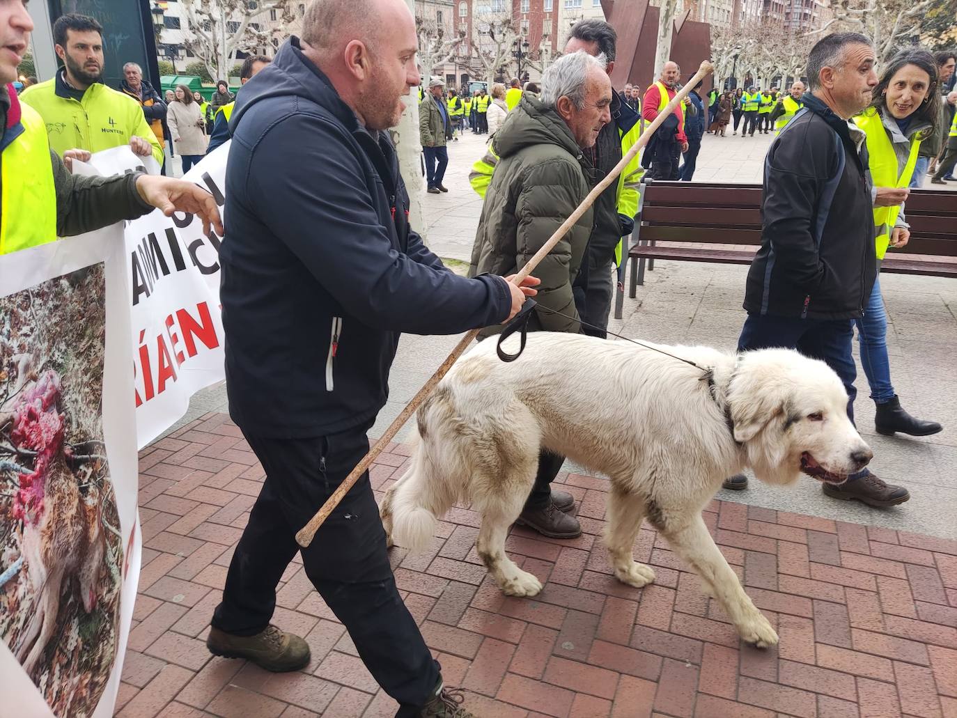 Las imágenes de la protesta en Logroño