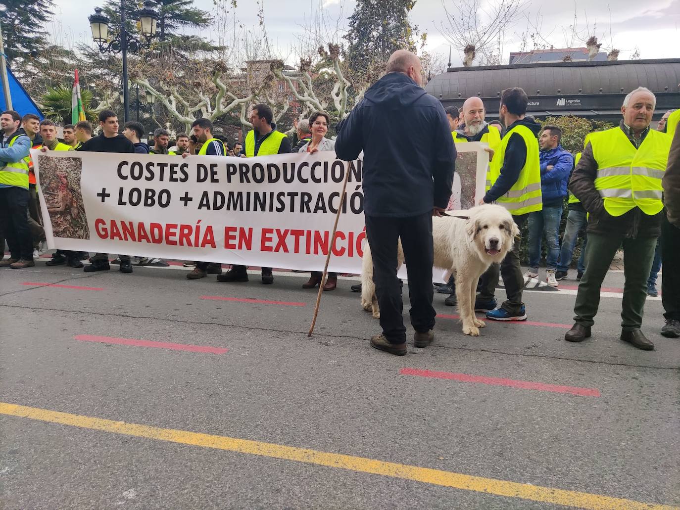 Las imágenes de la protesta en Logroño