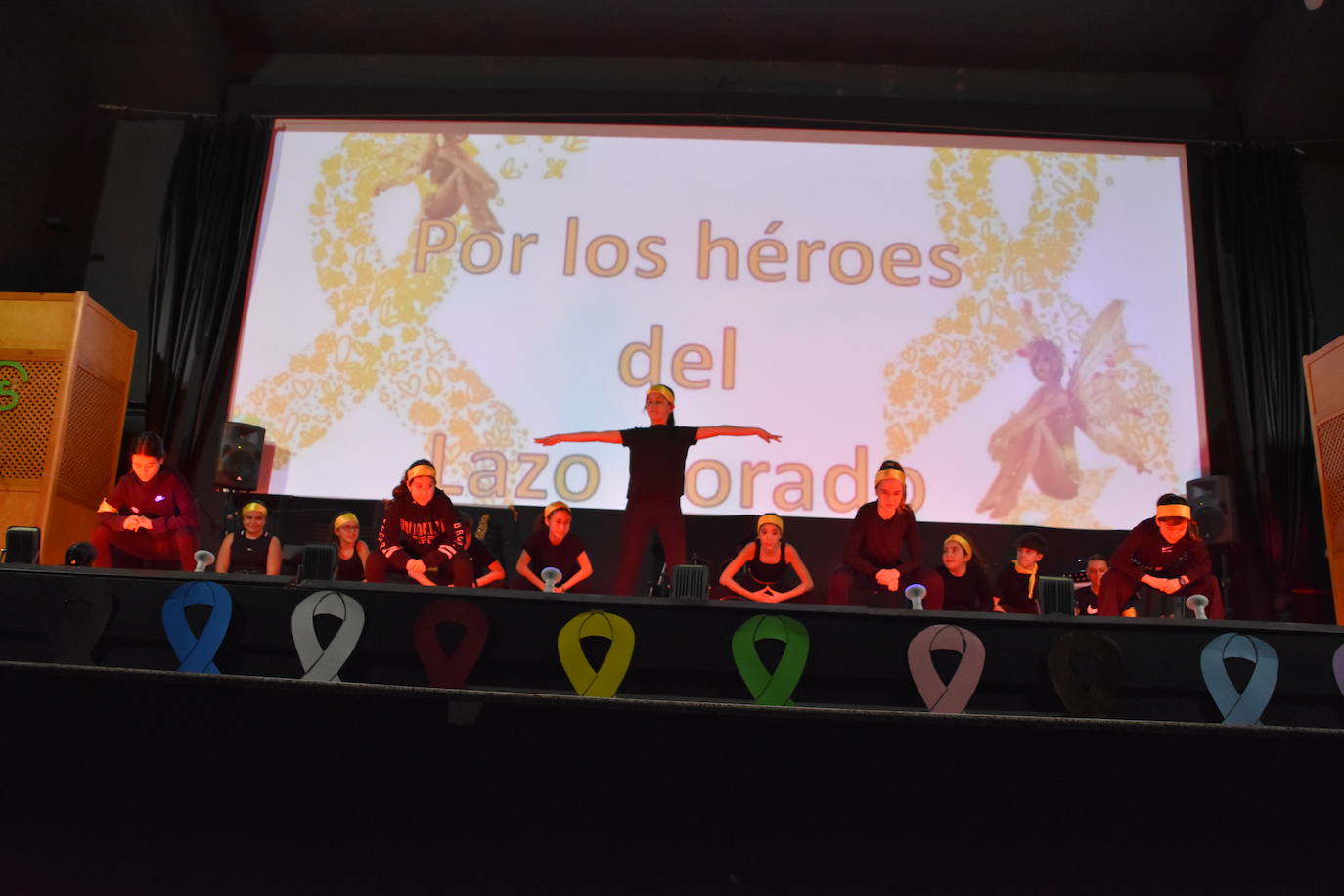 Gala de la Asociación contra el Cáncer en Rincón de Soto