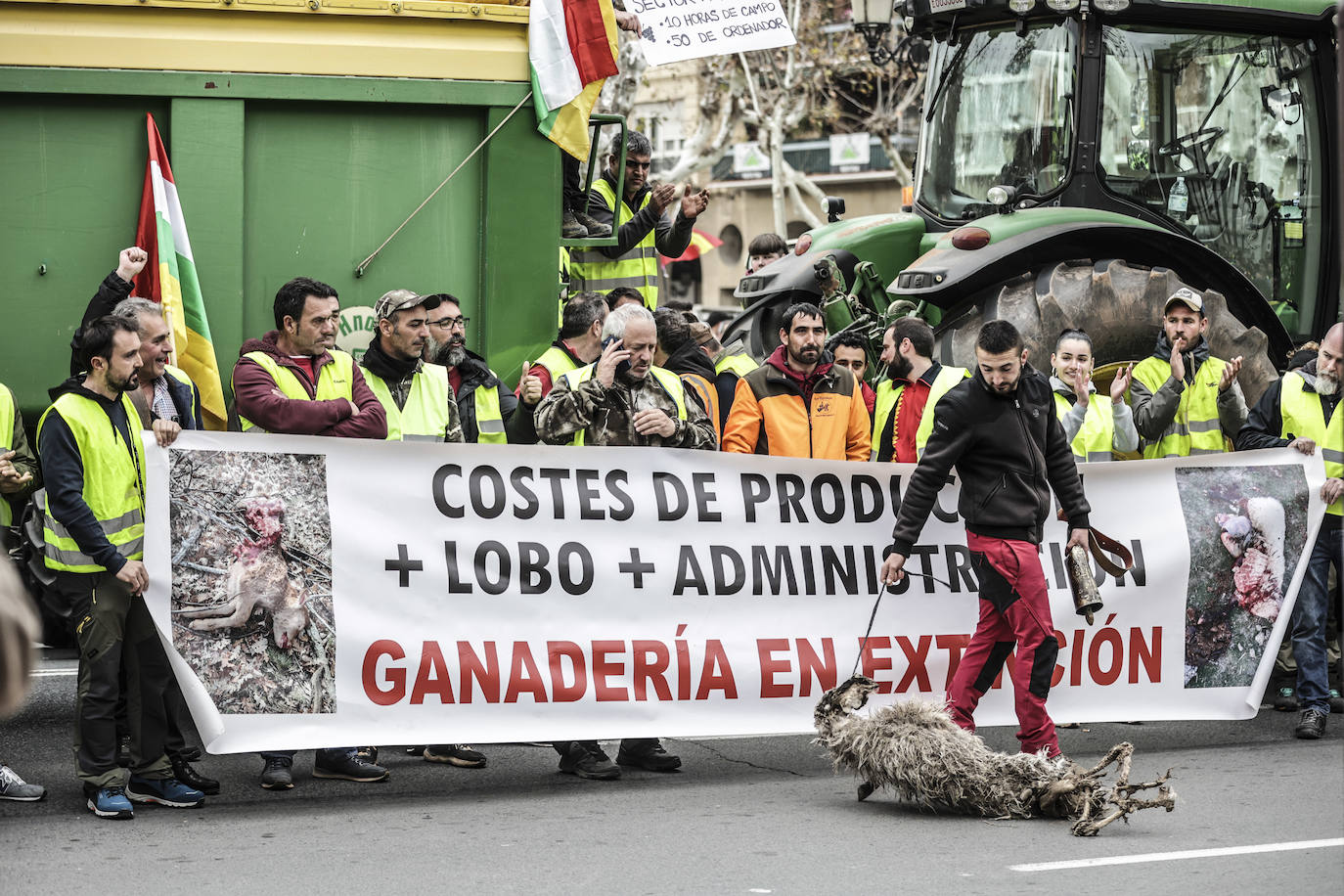 Las fotos de una jornada histórica