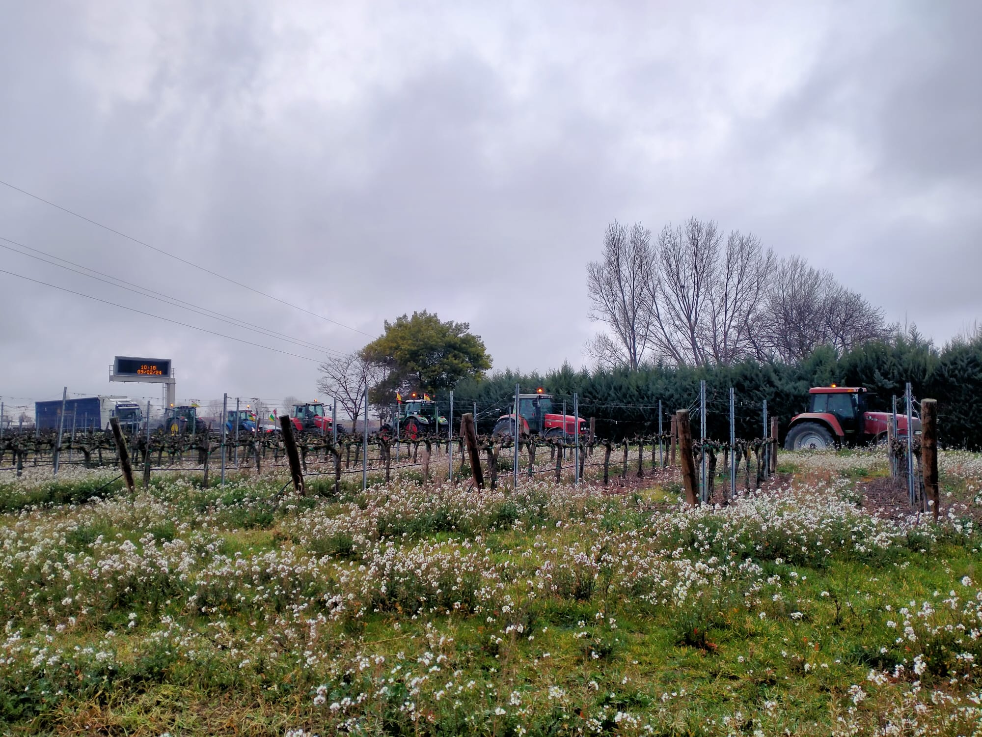 Las imágenes de la protesta agraria en La Rioja este viernes