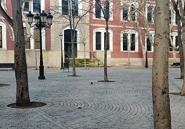 Para la arboleda se estudia, además de ampliar especies, nuevos espacios estanciales y también para los alumnos del centro