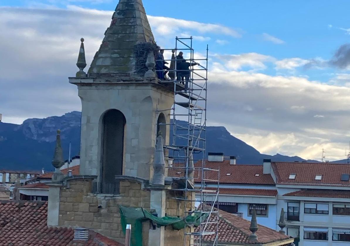 Desalojo. El sábado comenzaron a retirar el nido.