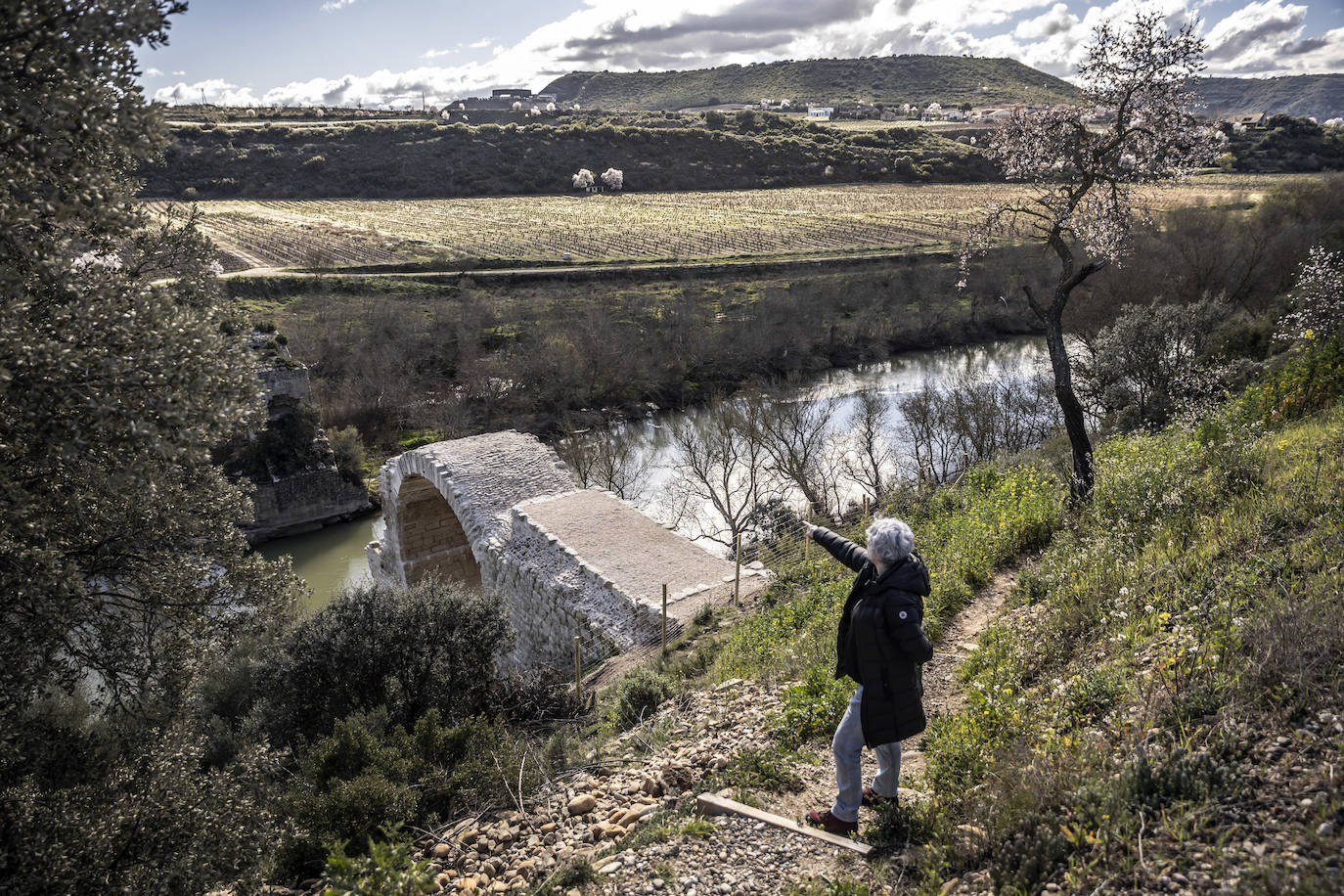 Mantible recupera su arco