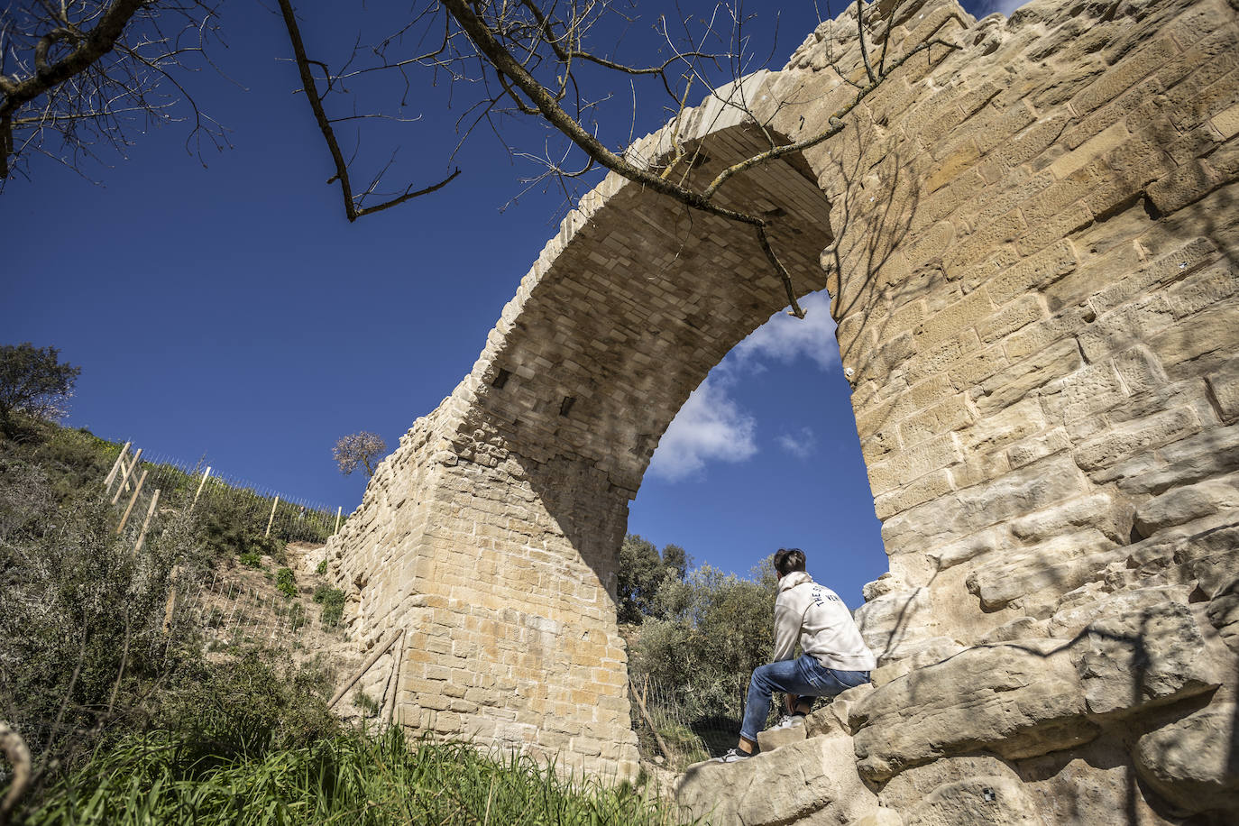 Mantible recupera su arco