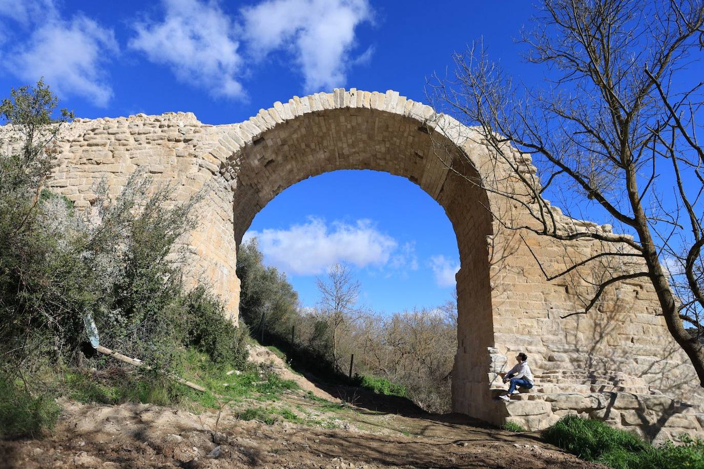 El arco reconstruido.