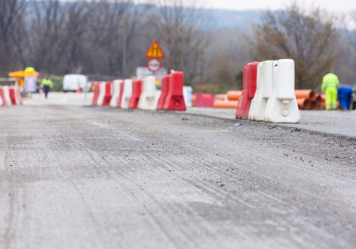 La conexión ciclopeatonal de la avenida de Mendavia, en un tramo del mismo.