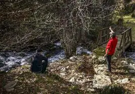 El Viguillas desagua en el arroyo de La Soledad en una zona de agradable paseo.