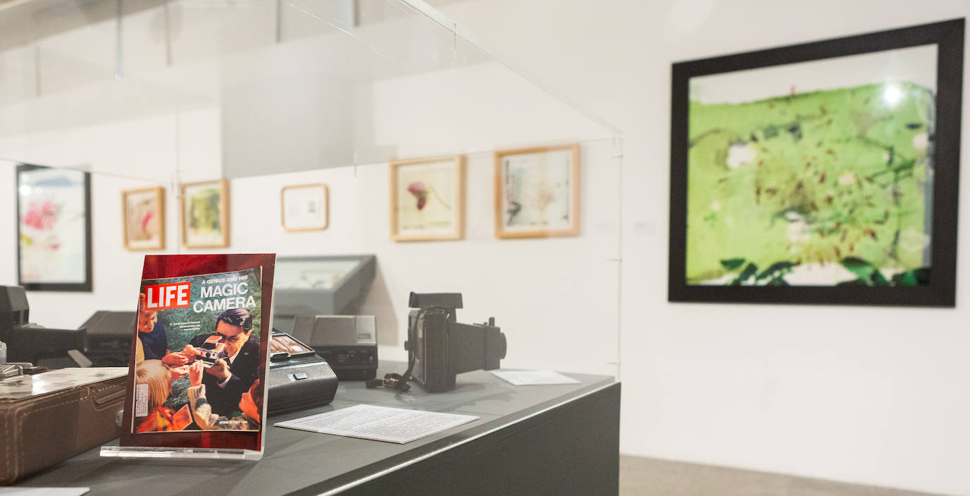 &#039;Botanica amoris&#039;, en la Casa de las Ciencias