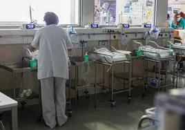 Una profesional sanitaria atiende a los bebés en la Unidad de Neonatología del Hospital San Pedro.