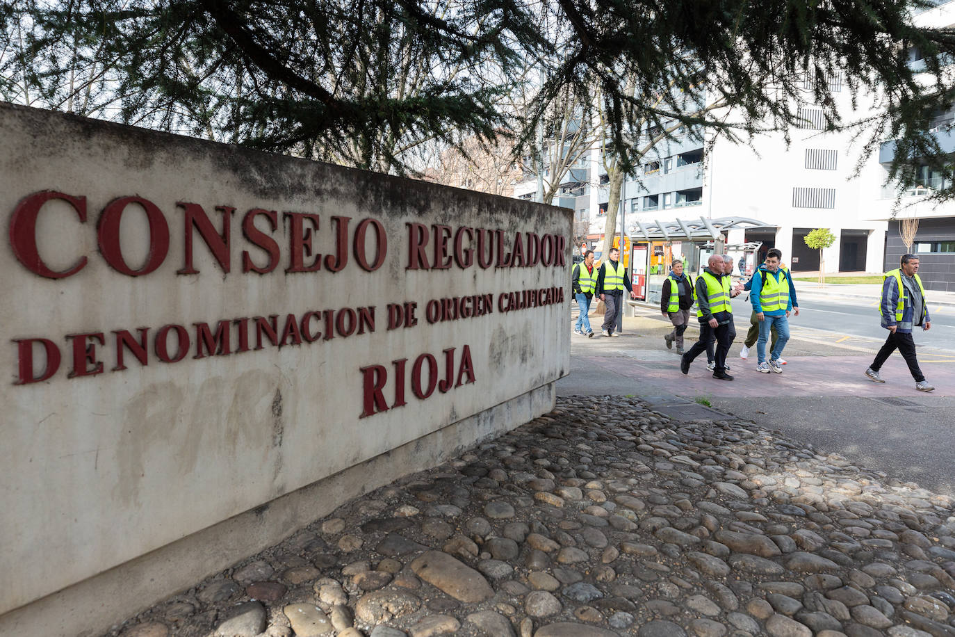 La protesta de los &#039;chalecos amarillos&#039; de este jueves, en imágenes (II)