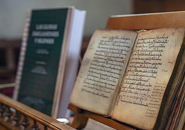 El estudio y el facsimil de las glosas