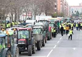 Tractores en fila durante una reciente movilización por las calles de Logroño.