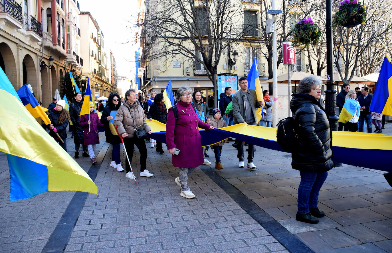 La manifestación silenciosa de ucranianos en La Rioja, en imágenes