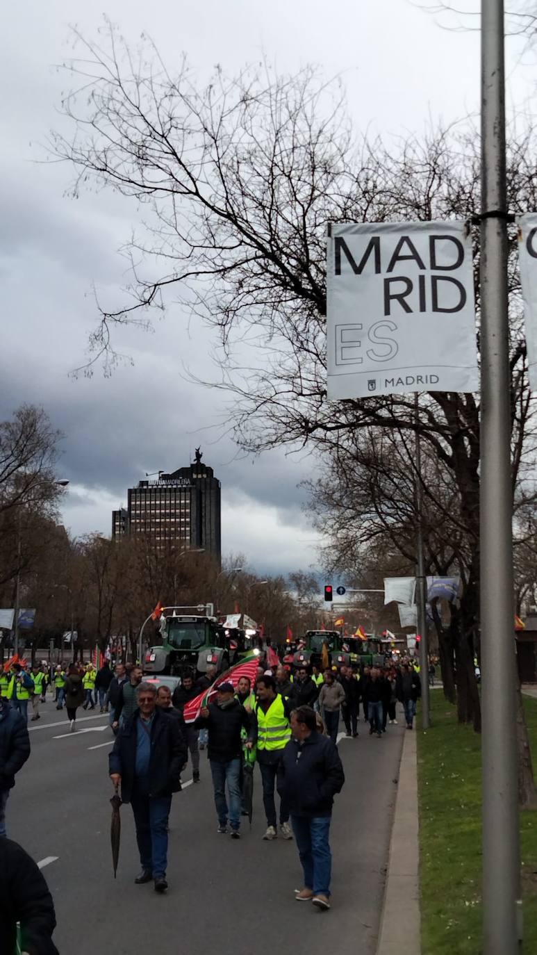 Los agricultores riojanos se manifiestan en Madrid