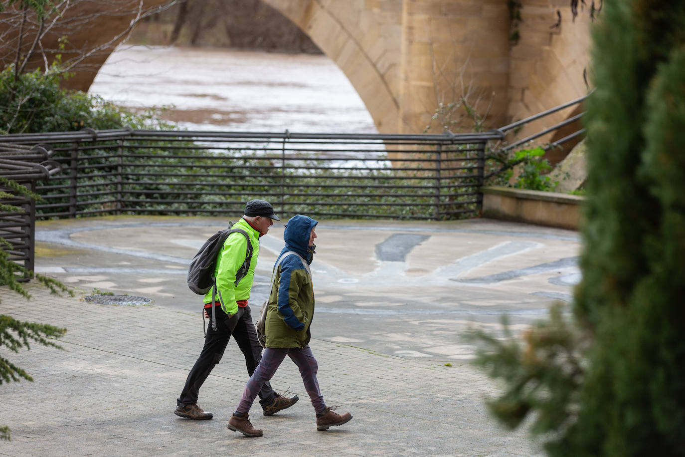 La crecida del Ebro en Logroño, en imágenes